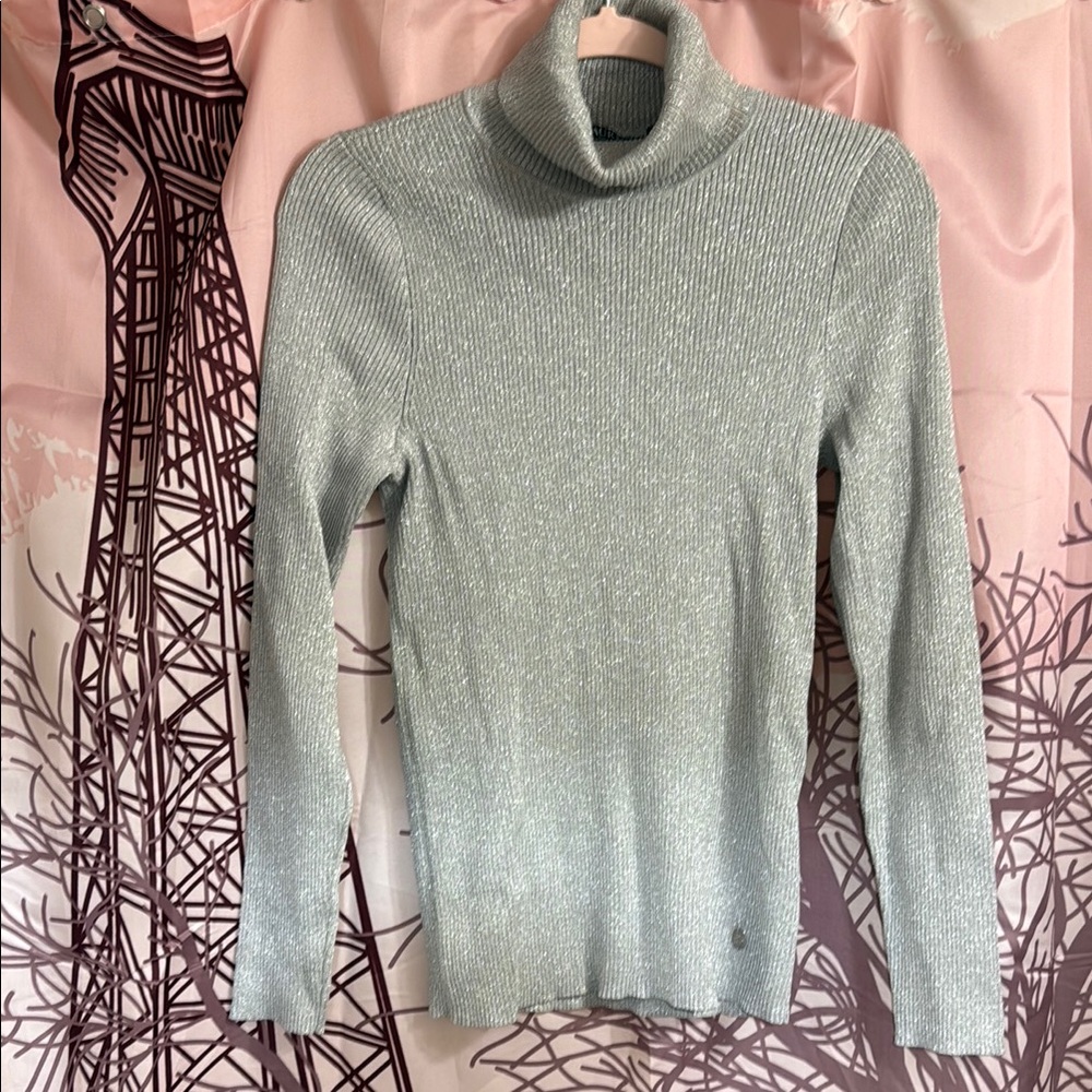 Women's Silver Turtleneck Sweater